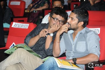 Uyyala Jampala Movie Audio Release